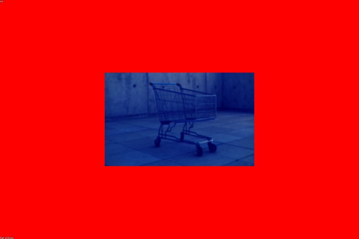 Online store and ecommerce